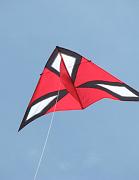 39- Delta - Michel Wirth